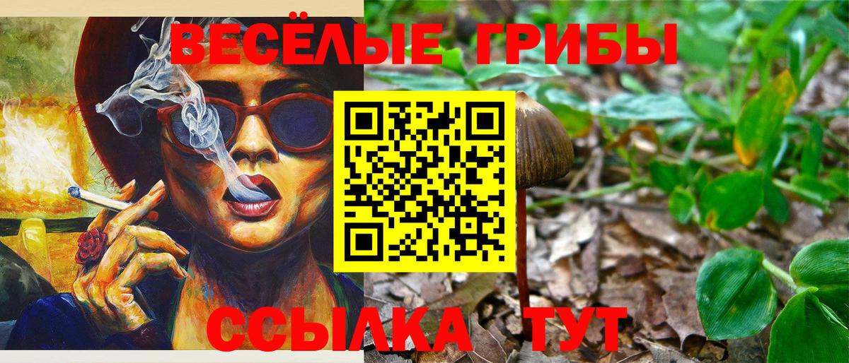 Псилоцибиновые грибы Psilocybe  Вход с VPN  Ковров 
