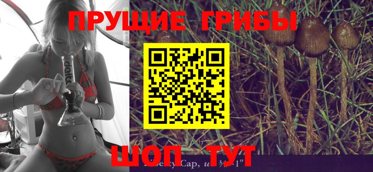 Галлюциногенные грибы Cubensis Ковров